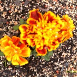 Meet your Posher, Vickie